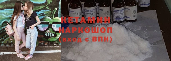 прущие грибы Беломорск