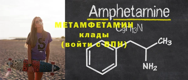 прущие грибы Беломорск