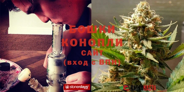 прущие крисы Белокуриха