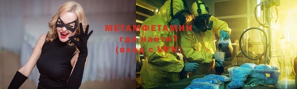 прущие грибы Беломорск