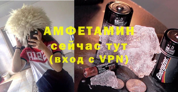прущие грибы Беломорск