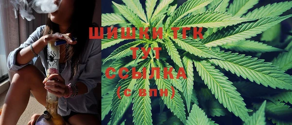 ГАЛЛЮЦИНОГЕННЫЕ ГРИБЫ Белоозёрский