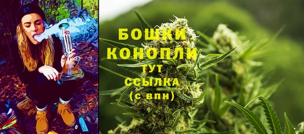 прущие грибы Беломорск