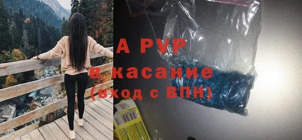 ГАЛЛЮЦИНОГЕННЫЕ ГРИБЫ Белоозёрский
