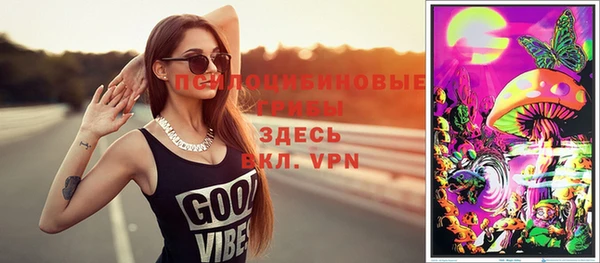 прущие грибы Беломорск