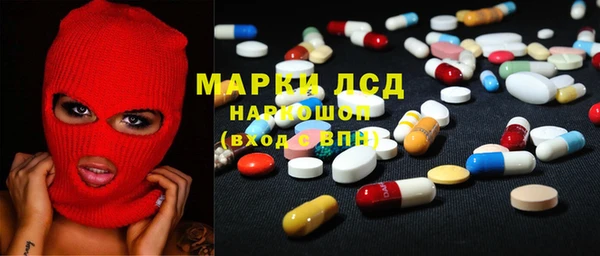 прущие грибы Беломорск