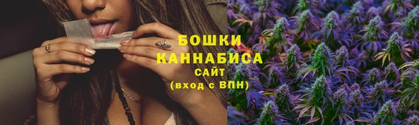 ГАЛЛЮЦИНОГЕННЫЕ ГРИБЫ Белоозёрский